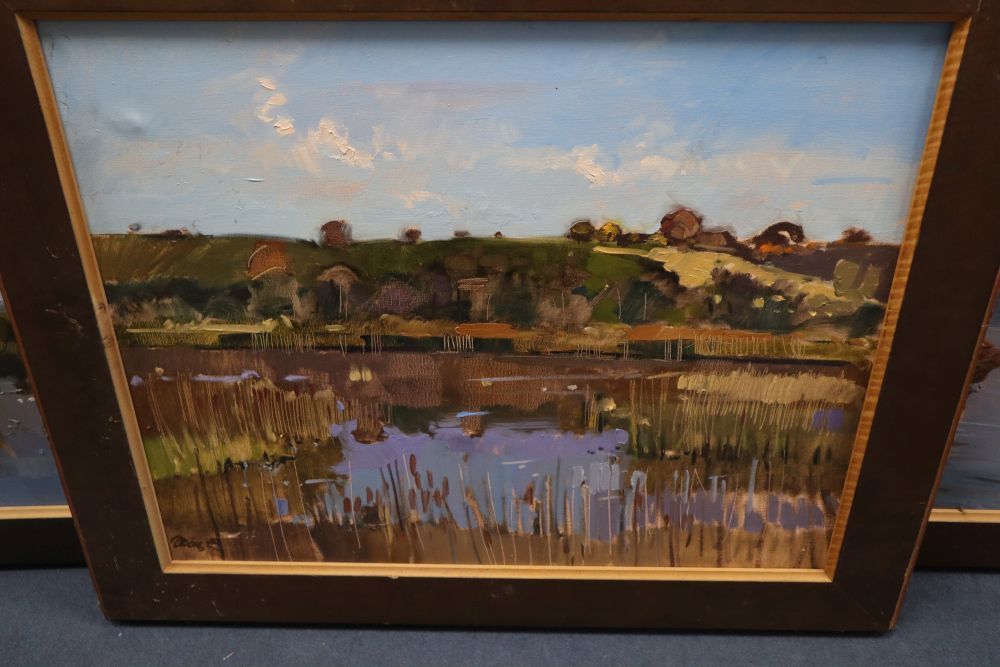 20th century Polish School, three oils on canvas, Lake scenes, indistinctly signed and dated 89, 59 x 72cm